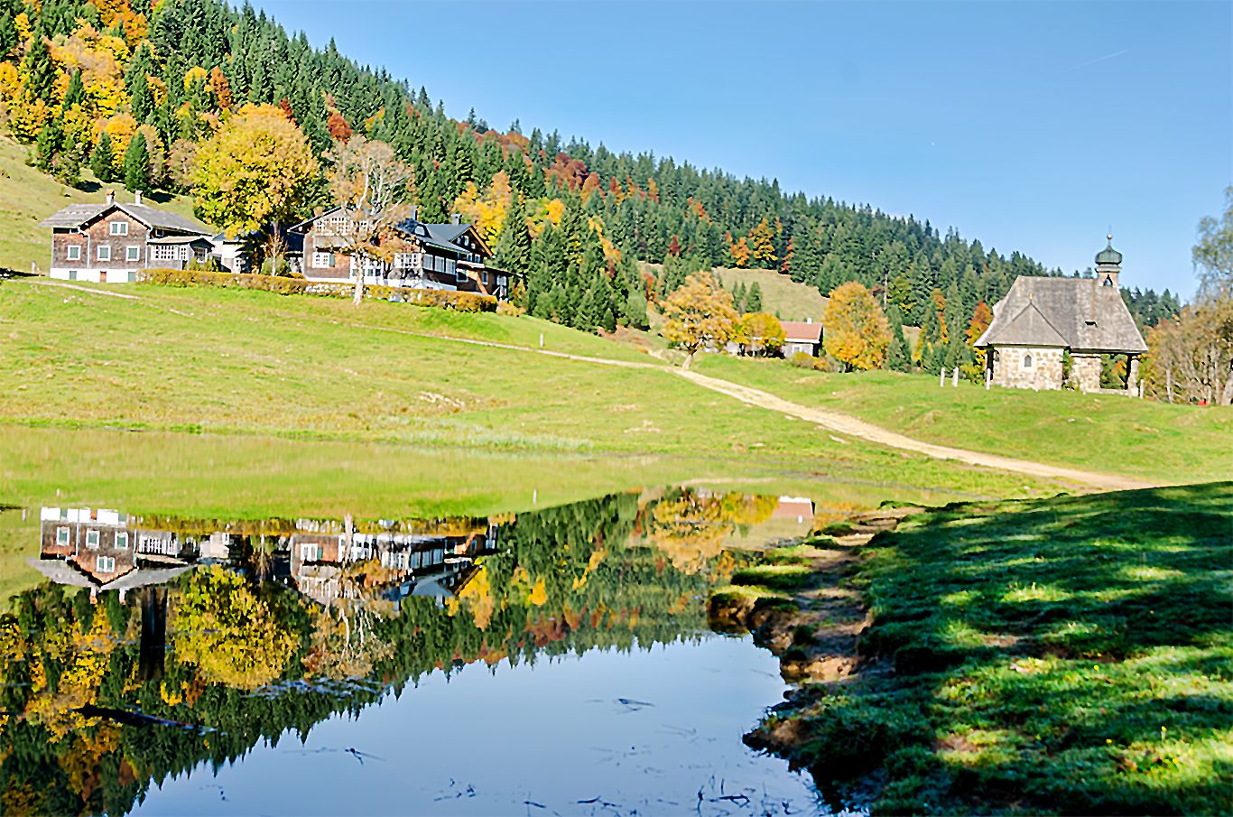 Schwarzenberg (8)